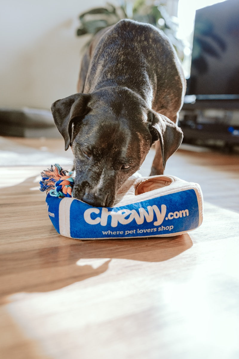 Pet Training Pads
